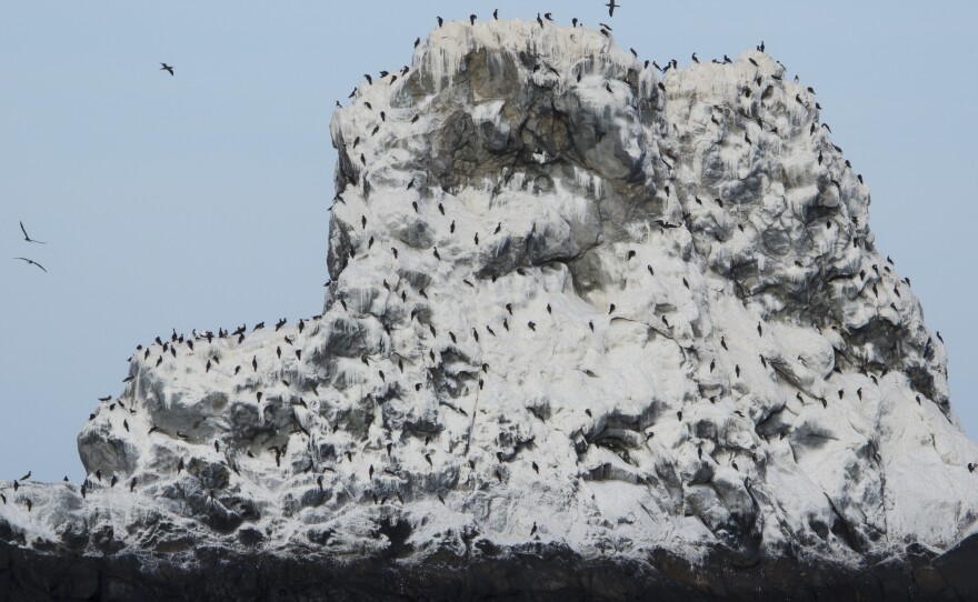 Volcanic island in the missle of the Revillagigedo National Park off the coast of Mexico in this undated photo