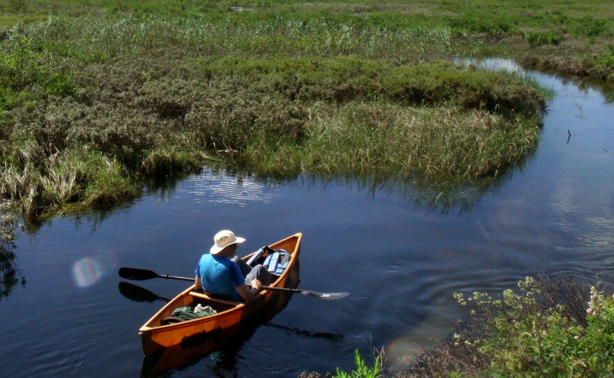 Author and activist Bill McKibben paddles toward Follensby Pond in New York's Adirondack Mountains, along the route followed by Ralph Waldo Emerson in the summer of 1858.