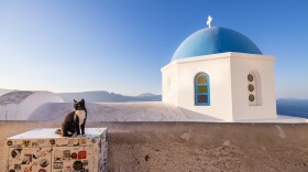 A cat, shown on a rooftop in Greece, is featured in Hannah Shaw and Andrew Marttila's book, "Cats of the World."