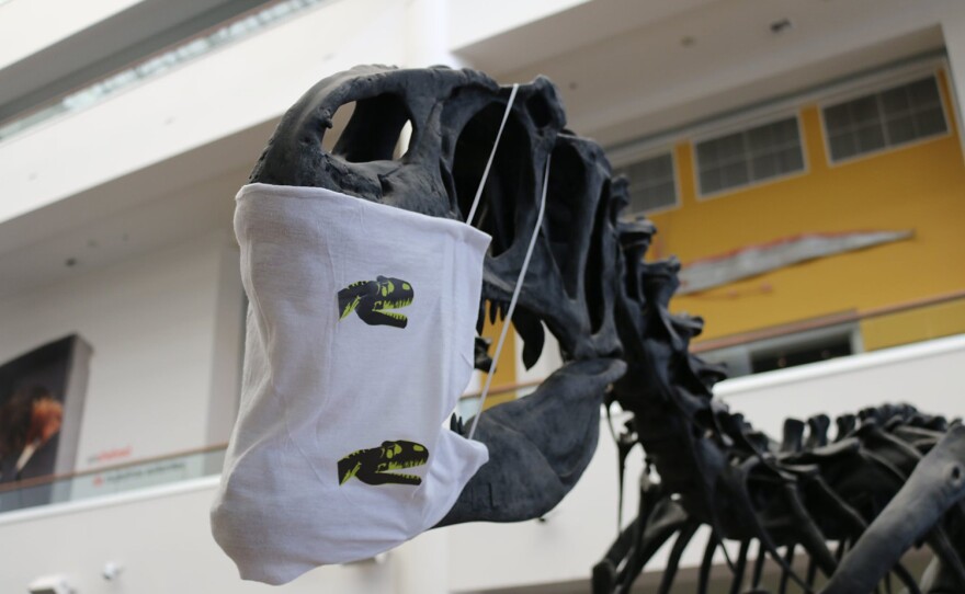 At the San Diego Natural History Museum, an Allosaurus wears a mask to remind visitors to take COVID-19 precautions during the museum's brief reopening in July 2020.