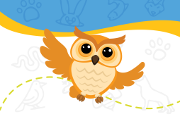 Fun Animal Friday: Owls