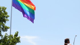 Spectators view the San Diego Pride Parade near its starting point at the rainbow flag on Normal Street, July 13, 2013. 