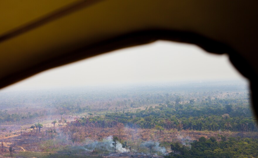 An aerial view of Rondonia, near its capital Porto Velho during the "burning season," shows how small fires run up next to the forest, where they can go out of control, burning crops and virgin forest alike.