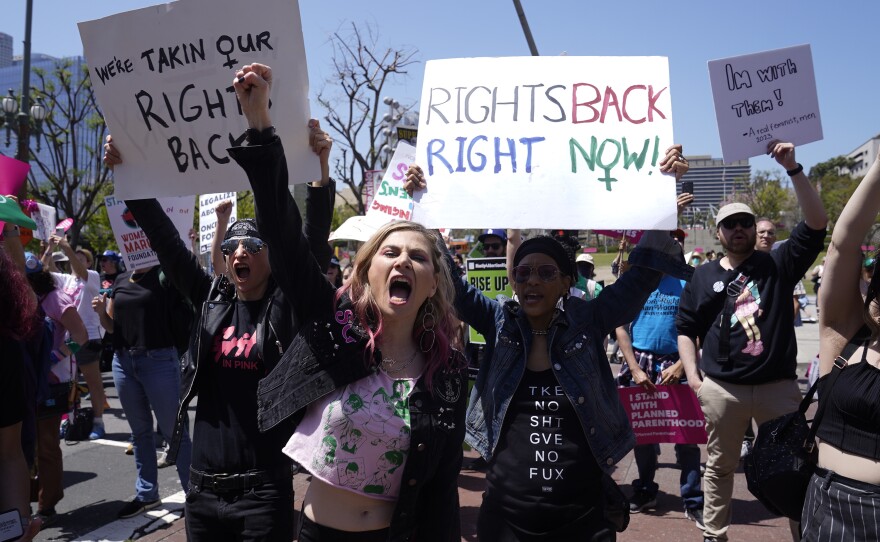 File photo of supporters cheering as Vice President Kamala Harris gives remarks at the Women's March in Los Angeles Saturday, April 15, 2023. 