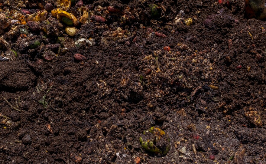 A closeup photo of compost at the Miramar Landfill, June 11, 2023.