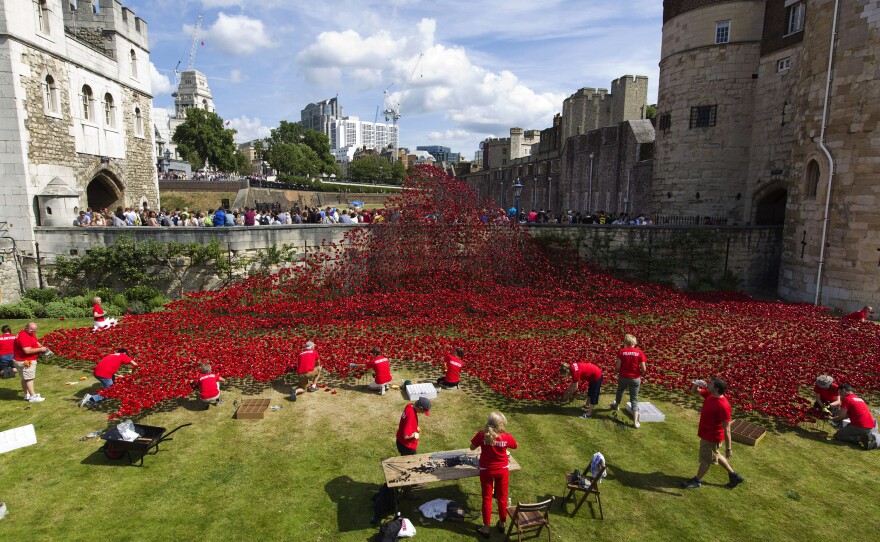 Volunteers install poppies on Aug. 3. Each poppy represents the 888,246 British Military personnel that died in World War I.