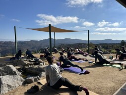 Connect to Nature: Yoga + Guided Hike Series
