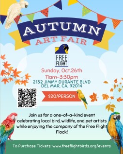 Autumn Art Fair