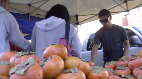 The City Heights Farmers Market shattered expectations when it celebrated its fifth anniversary this summer. It was the first in the county to accept CalFresh, or food stamps, making it a success at a time when markets in low-income neighborhoods were rare.