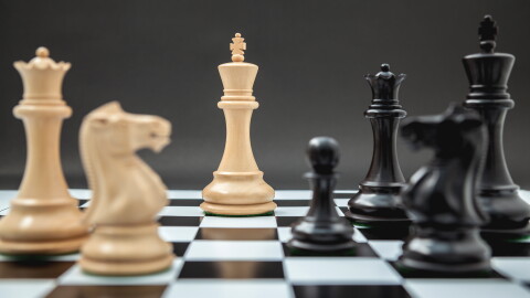 Black and White King and Knight of chess