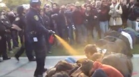 This image was taken from a YouTube video that appeared to show campus police using pepper spray against seated student protesters at close range, on Nov. 18, 2011.