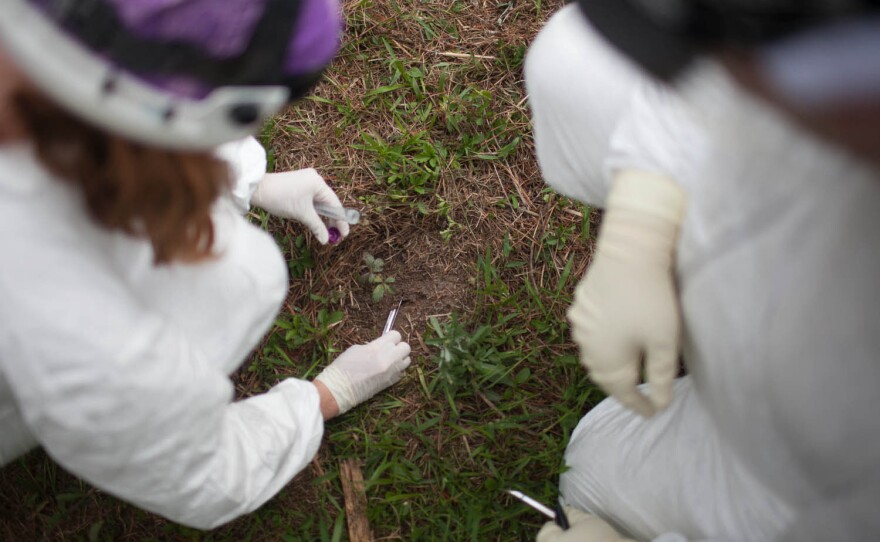 Jessica Metcalf (left) and fellow researcher Daniel Harmaan collect soil samples before placing a body in 2013. The researchers cataloged any microbial colonies already living in the dirt to see how the communities of tiny organisms in that spot change over time.