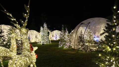 Festive Igloos