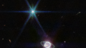NASA's James Webb Space Telescope captured out-of-this-world photos of Neptune and its rings.