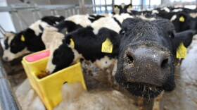 Big agribusiness has launched a media campaign designed to revive its tarnished image by promoting the American farmer.
