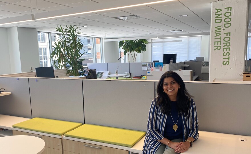 Renuka Iyer, Chief Human Resources Officer for the World Resources Institute, sits in the empty office. All of their staff have been working remotely since March 2020.