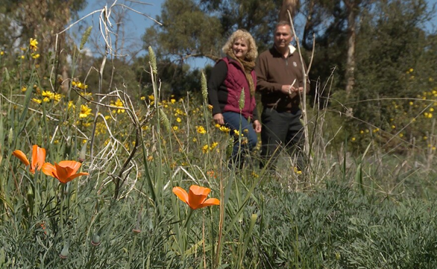 Some golf courses are undergoing radical transformations to be more in tune with natural environments.