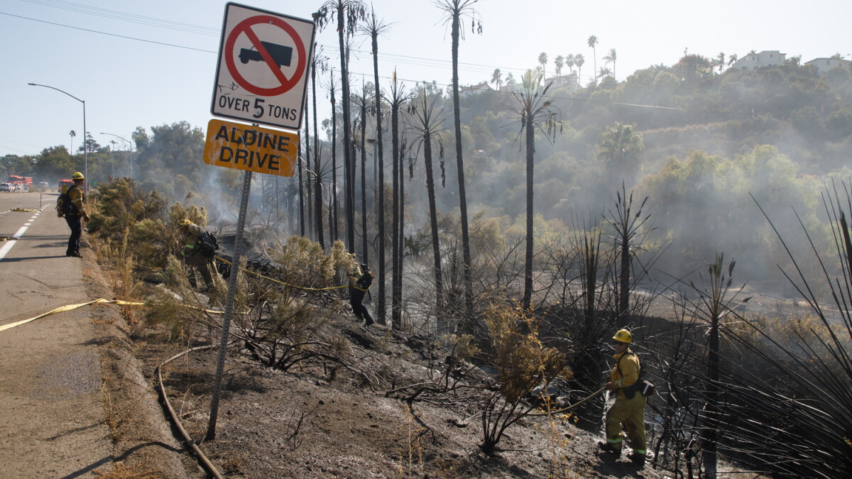Heavy rainfall makes for high fire risk. But San Diego lagging on removing brush - Vimarsana News