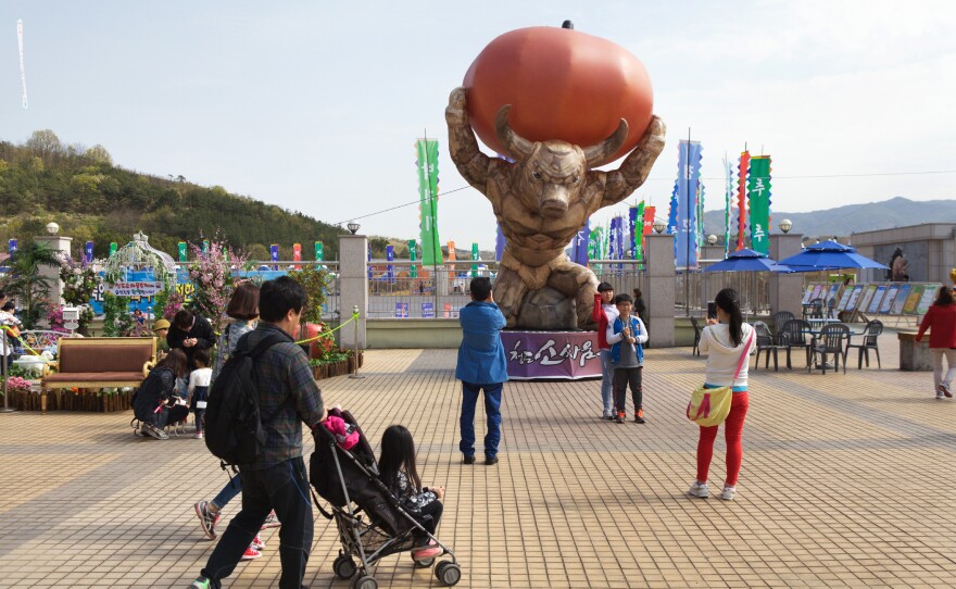 Outside the stadium where the Cheongdo Bullfighting Festival takes place every spring in the southern part of South Korea.