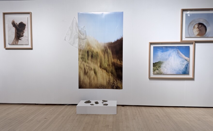 Photography by Sarai Elguezabal from the exhibition "Gossip" is shown at Union Hall Gallery on April 4, 2026.