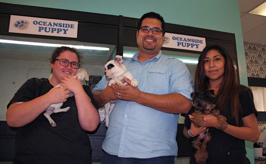 Oceanside Puppy owner, David Salinas, center, shows off dogs for sale along with his employees. 2014