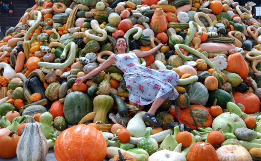 Isa Jacoby helps celebrate seed diversity as she lays on the squash, gourd and pumpkin tower, built by Mac Condill and displayed at the Heirloom Expo in Santa Rosa Calif.