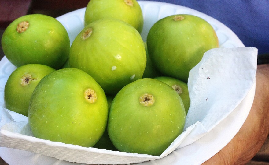 A basket of figs plucked from a tree in Pittsburgh in September.