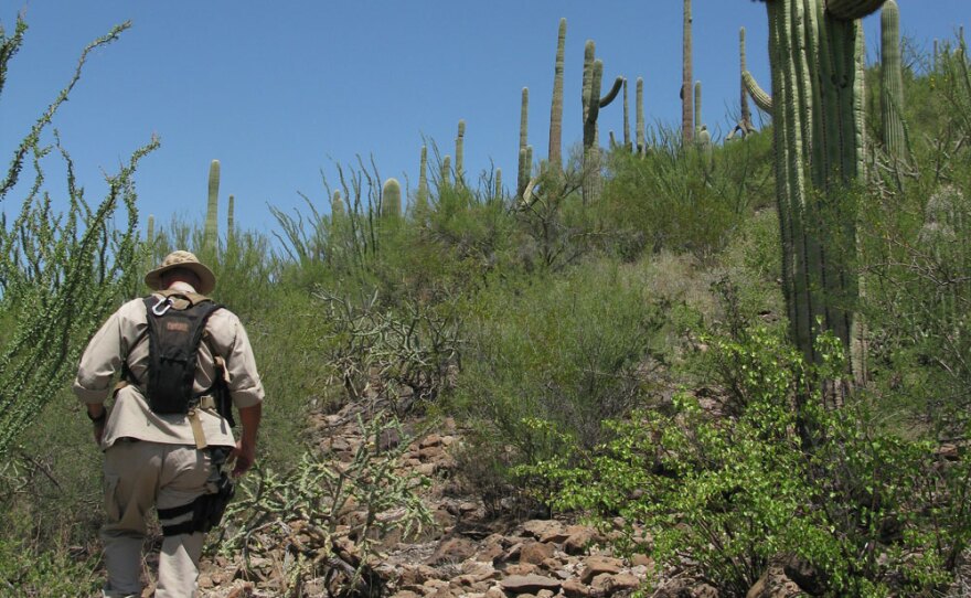 Border Patrol Search, Trauma and Rescue agent Paul Dubois is seen in the Sonoran Desert in southern Arizona, about 50 miles north of the Mexican border.