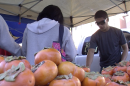 The City Heights Farmers Market shattered expectations when it celebrated its fifth anniversary this summer. It was the first in the county to accept CalFresh, or food stamps, making it a success at a time when markets in low-income neighborhoods were rare.