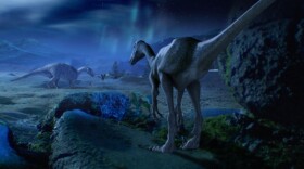 Troodon hunting for hadrosaur. This program aims to explain how dinosaurs managed to survive and even thrive in the gloom of the dark and frigid polar regions. Visual effects and animation: TPD Media; CGI dinosaurs created by Bevan Lynch, Equinox Design and Visual Effects