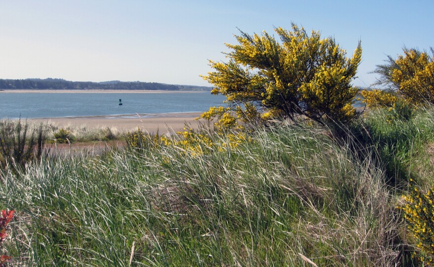 The site of the proposed Jordan Cove Energy liquefied natural gas export facility near Coos Bay, Ore. Proponents say it would boost the local economy, but others worry it will affect recreation.