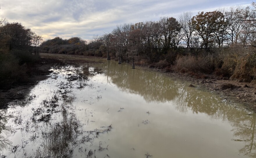 The Black Bayou near Glendora, Miss., where it's believed that Emmett Till's body was dumped after his lynching in 1955.