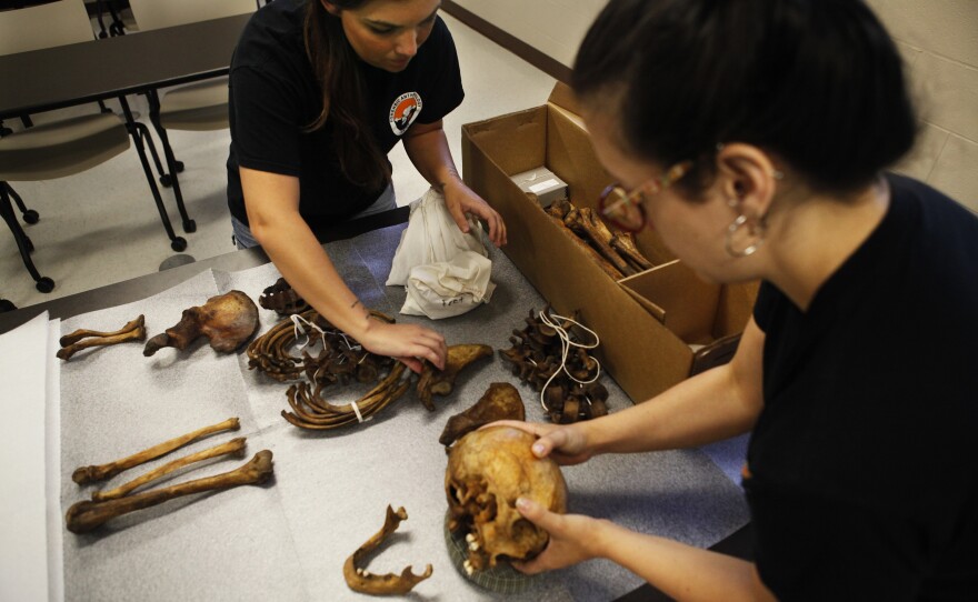 Students pack up a skeleton after a class demonstration at the University of Tennessee, Knoxville.