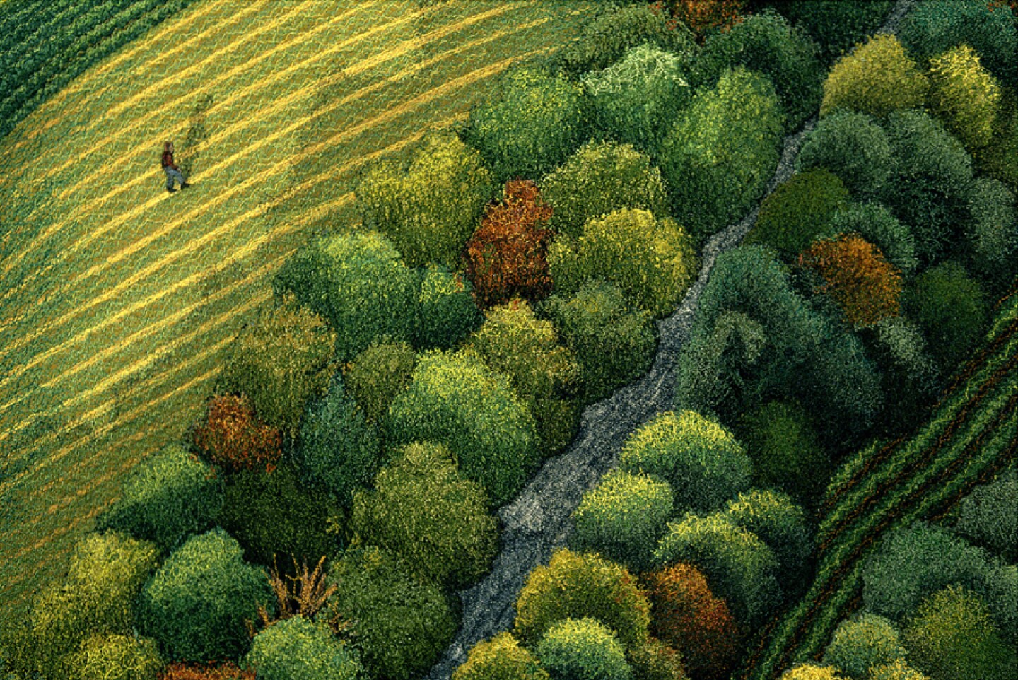 Detail of “Practice Bomber Range in the Mississippi Flyway,” 2002, by Terese Agnew.