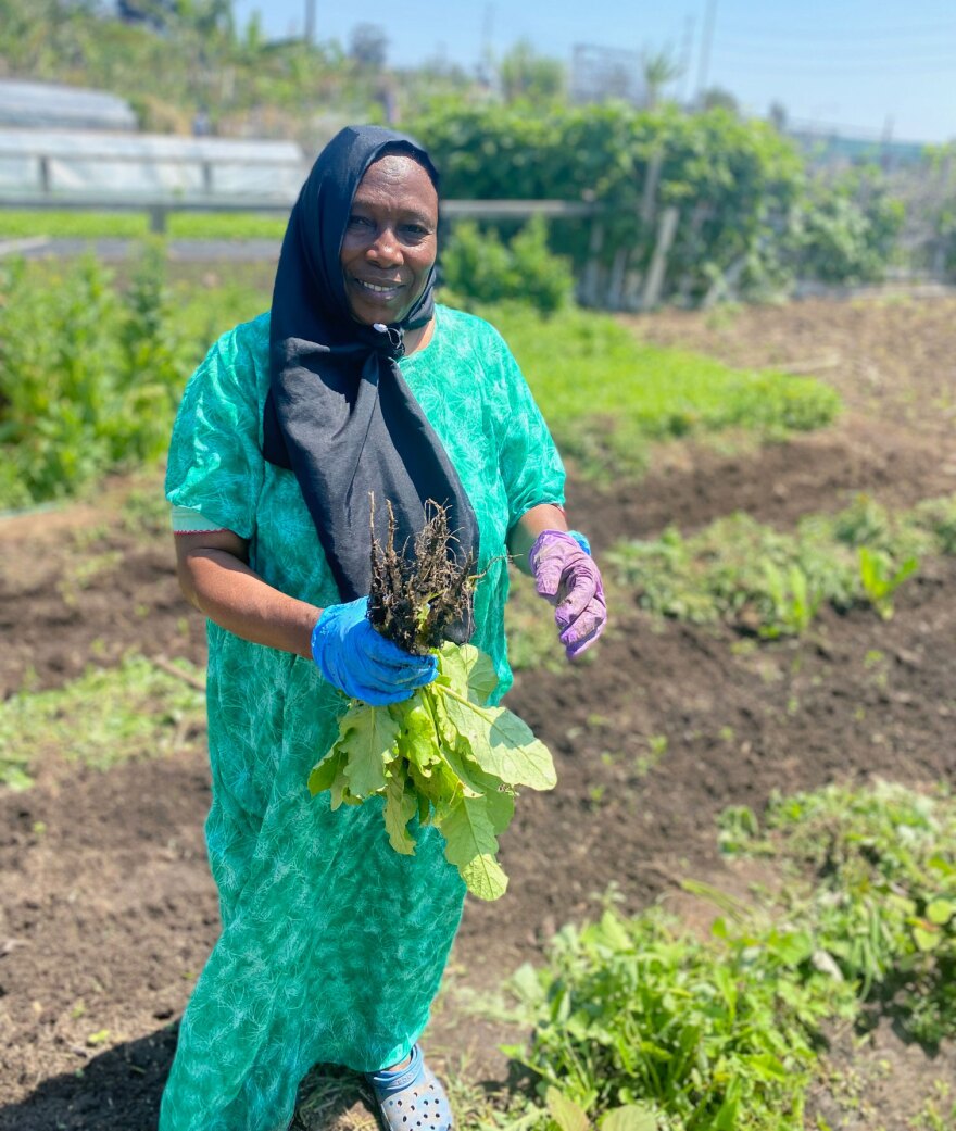 Fatima Abdelrahman, a Sudanese farmer, is shown at New Roots Farm in City Heights, San Diego in an undated photo.