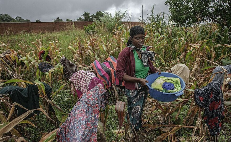 A woman dries clothes in a failed maize field in the north of Malawi.