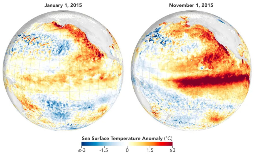By November 2015, a powerful El Niño had developed, marked by abnormally warm ocean temperatures along the equator.