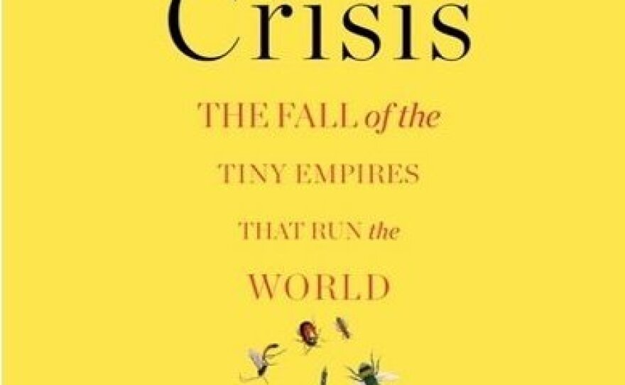 <em>The Insect Crisis</em>, by Oliver Milman