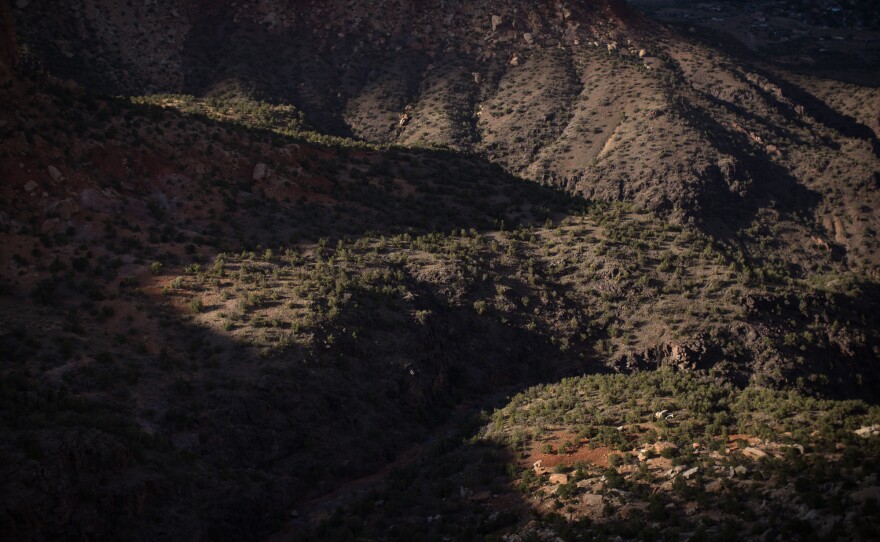 Most of the top ten states with the highest suicide rates are in the mountain West, including Colorado.