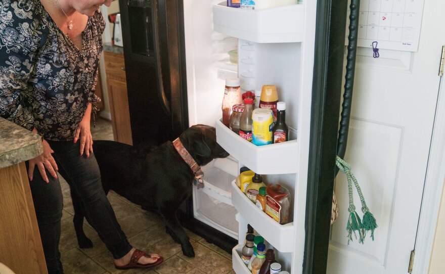 Among Lizzy's skills: She can open the refrigerator and get herself carrots to eat.