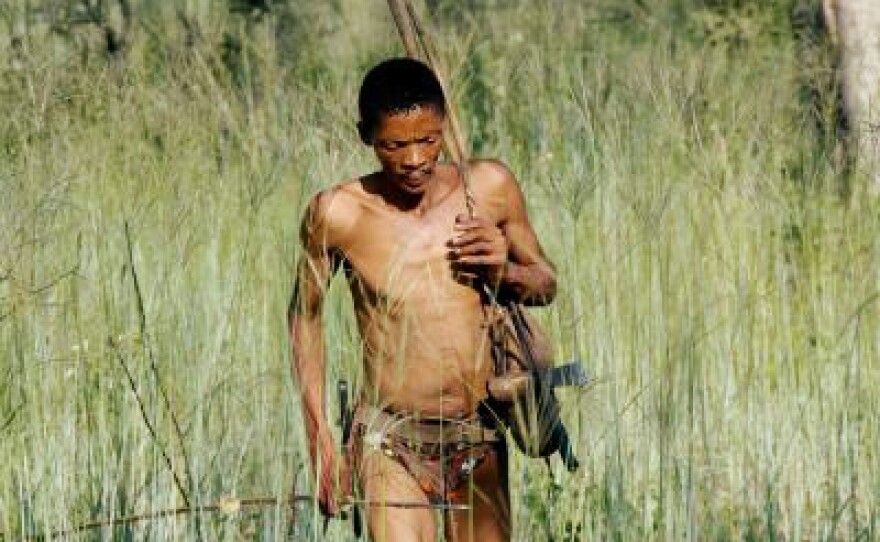 The Bushmen know which plants and herbs are good to eat — and which will heal their ailments.
