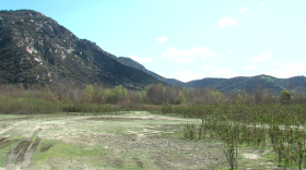 The site of the proposed Gregory Canyon landfill is shown in this undated photo. 