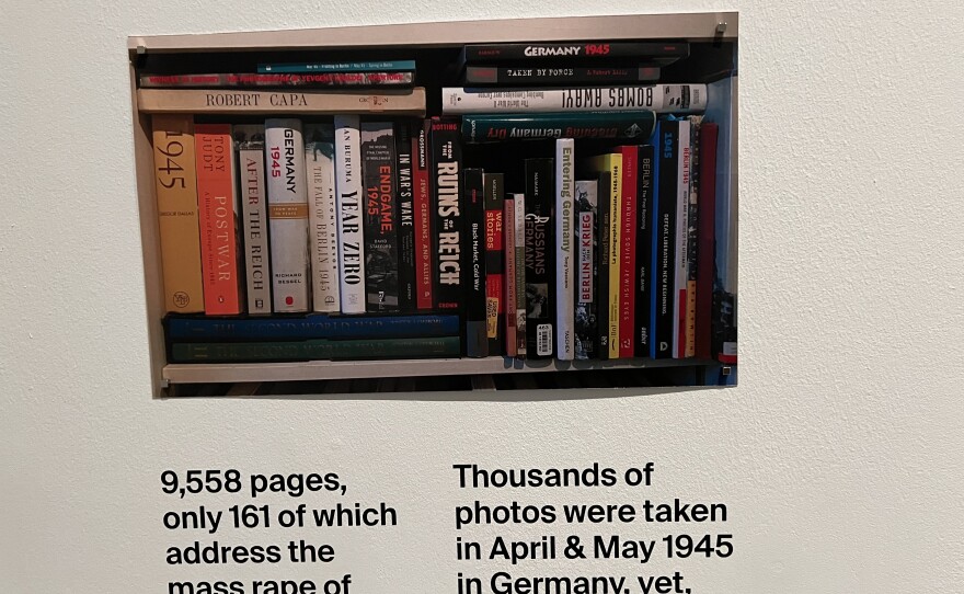A detail of the "Natural History of Rape" exhibit at the Berlin Biennale.