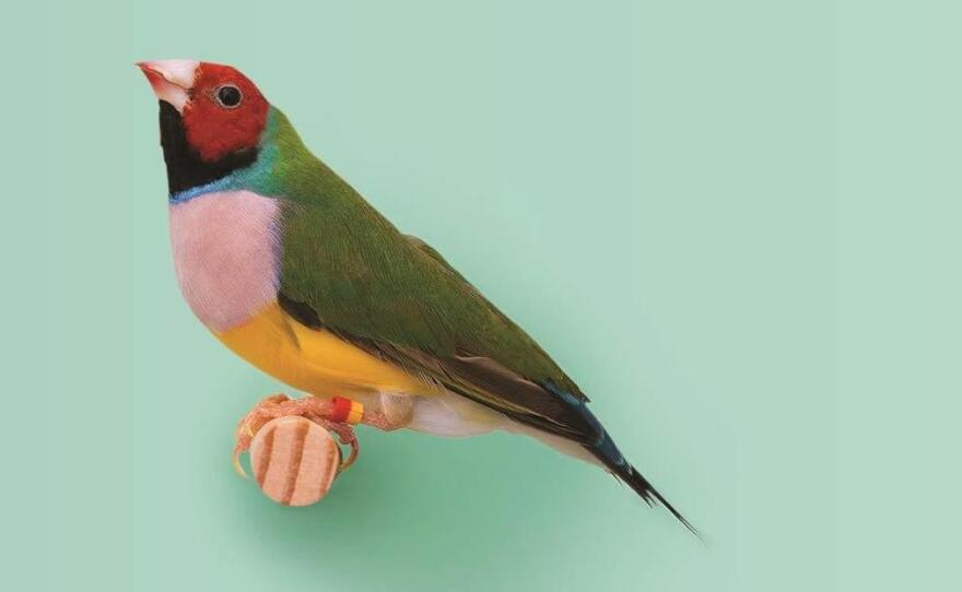 Meaning Well And Making A Mess In 'We Love Anderson Cooper'