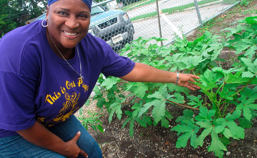 Hanshaw is delighted to find the first pods of okra in the fledgling community garden launched by Coastal Women for Change — a group she founded to help her Biloxi neighborhood rebuild after Hurricane Katrina.  The garden is in a neighborhood park in an area that was wiped out by Katrina and is struggling to come back.