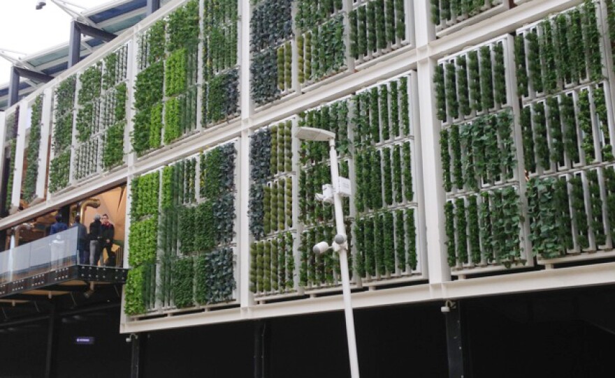 This vertical farm is part of the American pavilion.