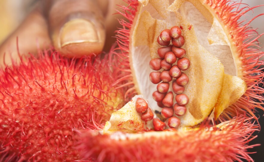 Annatto is a natural colorant derived from the seeds of the fruit of the achiote tree. It will soon be used to color Butterfingers.