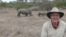 Joseph Rosendo gets an elephant-sized helping of the African wild on safari at the Lion Sands Private Game Reserve adjacent to South Africa’s famed Kruger National Park where he encounters black rhinoceros. 
