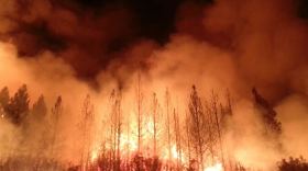 Rim Fire, Yosemite, CA