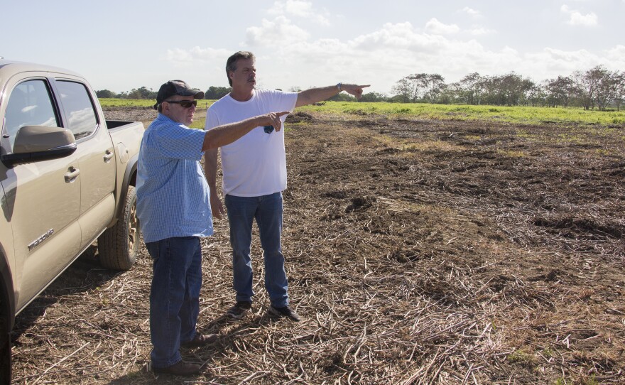 Mike McCloskey (right) and his cousin Manuel Perez are converting this former sugar cane farm into high-quality pasture for cattle.